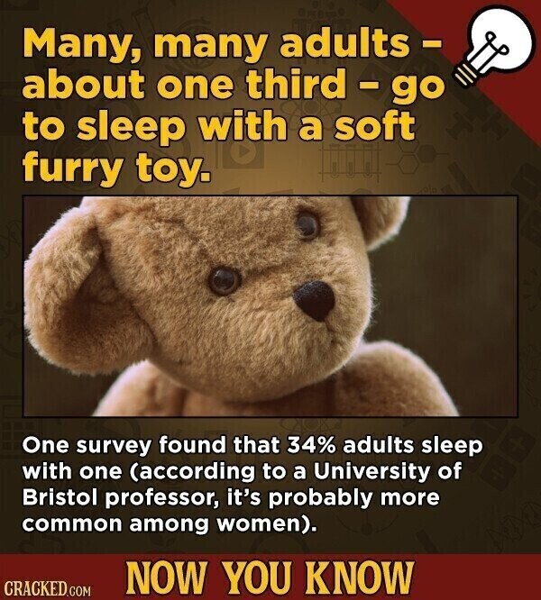 Many, many adults - about one third - go to sleep with a soft furry toy. One survey found that 34% adults sleep with one (according to a University of Bristol professor, it's probably more common among women). NOW YOU KNOW CRACKED.COM