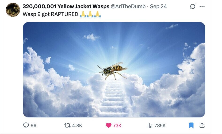 320,000,001 Yellow Jacket Wasps @AriTheDumb Sep 24 ... Wasp 9 got RAPTURED 96 4.8K 73K 785K ادار
