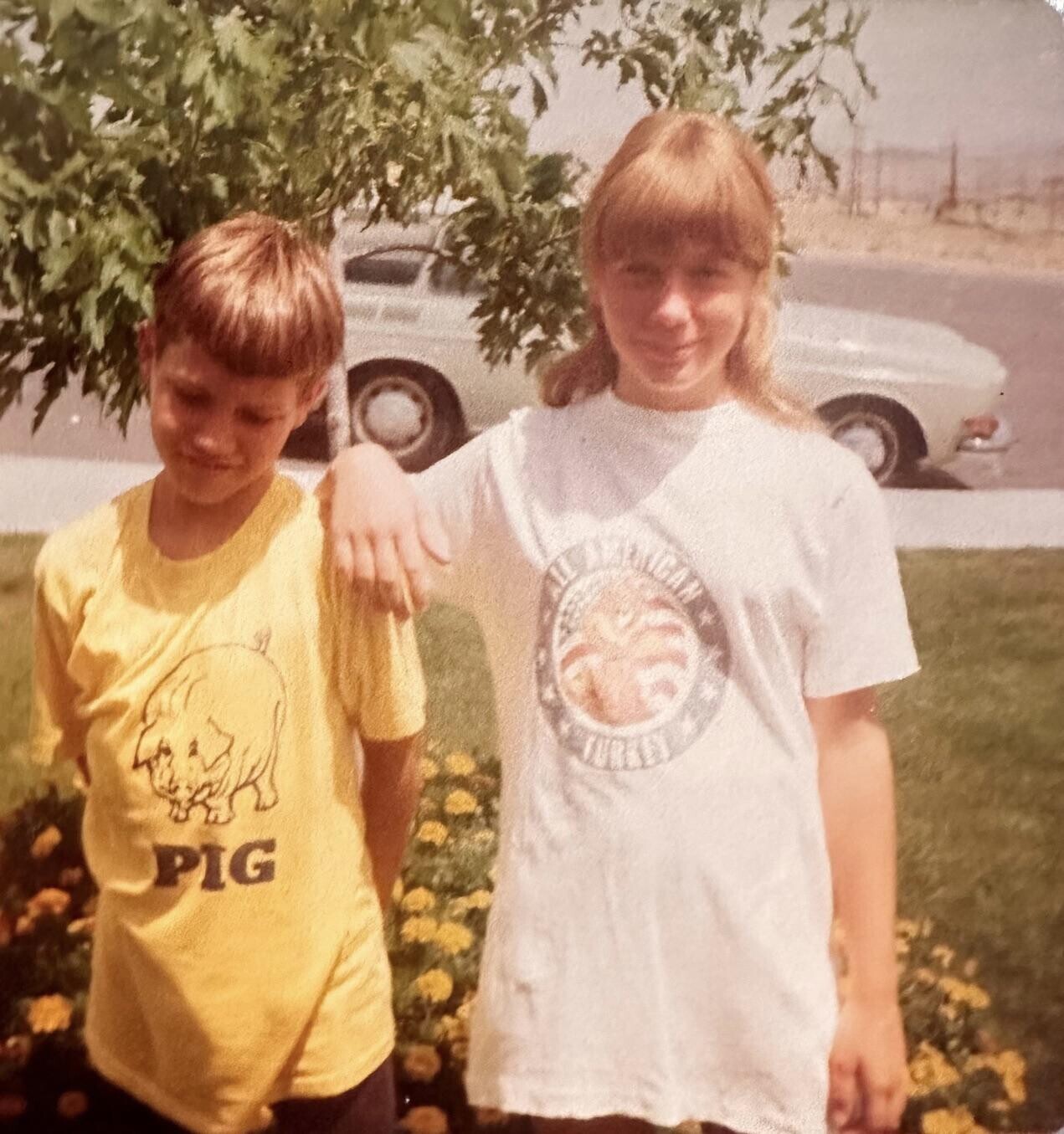 All ALARICAN TURKEY PIG