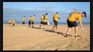 31 Random Bits of Trivia We Had to Wait 24 Hours for Our Dog to Pass After He Ate Them Off the Sidewalk