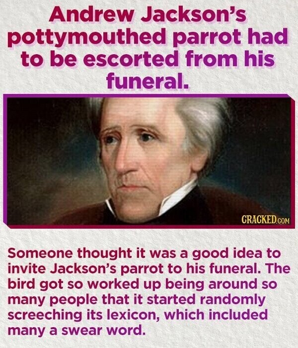 Andrew Jackson's pottymouthed parrot had to be escorted from his funeral. CRACKED.COM Someone thought it was a good idea to invite Jackson's parrot to his funeral. The bird got so worked up being around so many people that it started randomly screeching its lexicon, which included many a swear word.