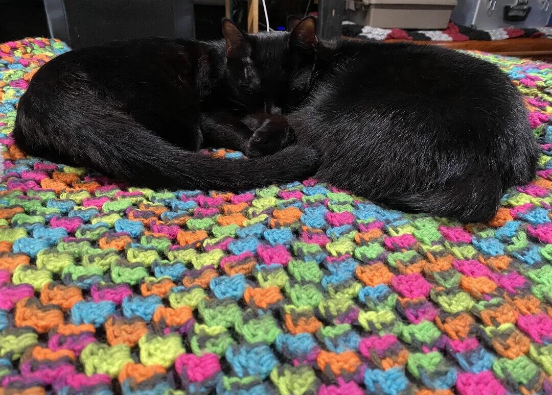 Zen to Zaney Photos Playing Tricks With Your Eyes