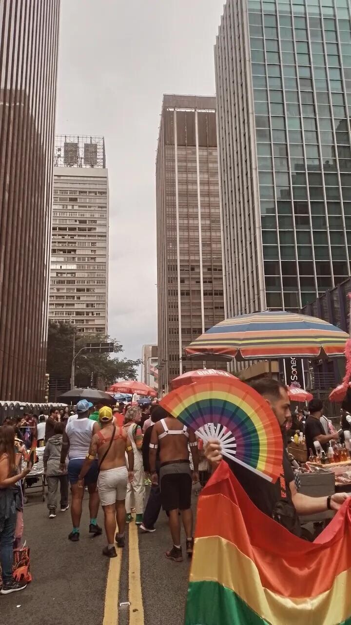 Photos Showing Carnival Isn't Brazil's Only Parade