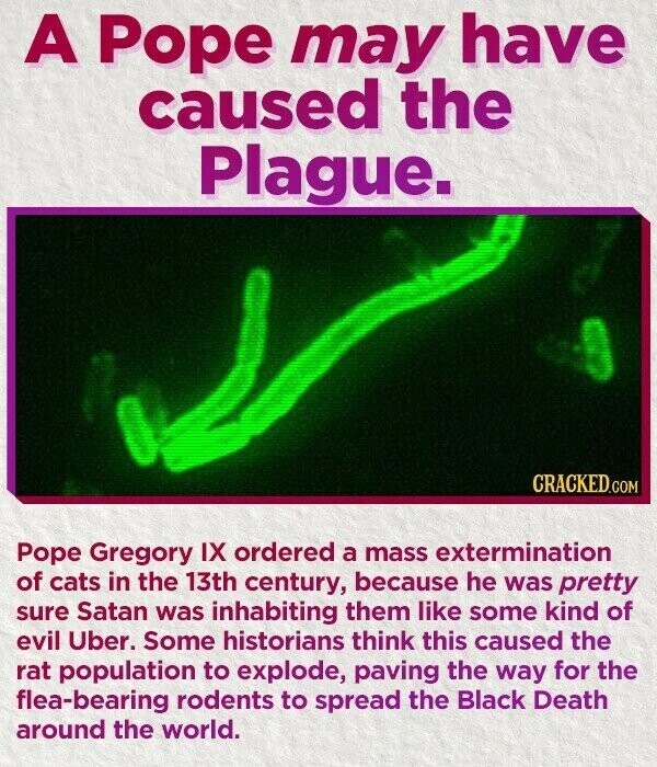 A Pope may have caused the Plague. CRACKED.COM Pope Gregory IX ordered a mass extermination of cats in the 13th century, because he was pretty sure Satan was inhabiting them like some kind of evil Uber. Some historians think this caused the rat population to explode, paving the way for the flea-bearing rodents to spread the Black Death around the world.