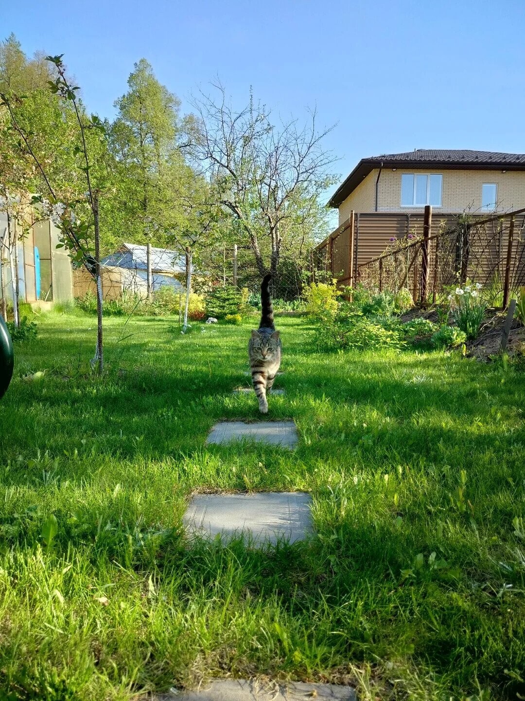 Zen to Zaney Photos Playing Tricks With Your Eyes