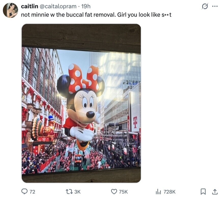 S ... caitlin @caitalopram 19h not minnie W the buccal fat removal. Girl you look like S**t 72 3K 75K del 728K 