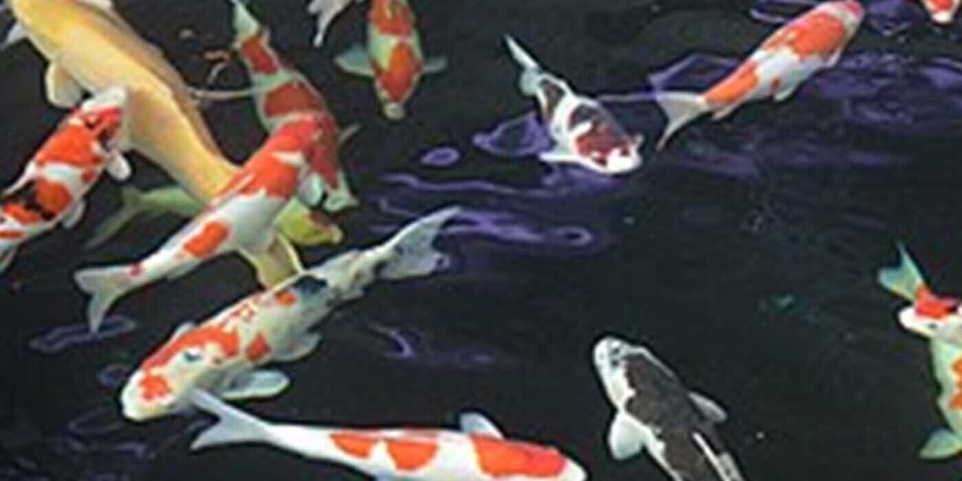 12 Random Bits of Trivia the Clown in the Sewer Assured Us Would Float