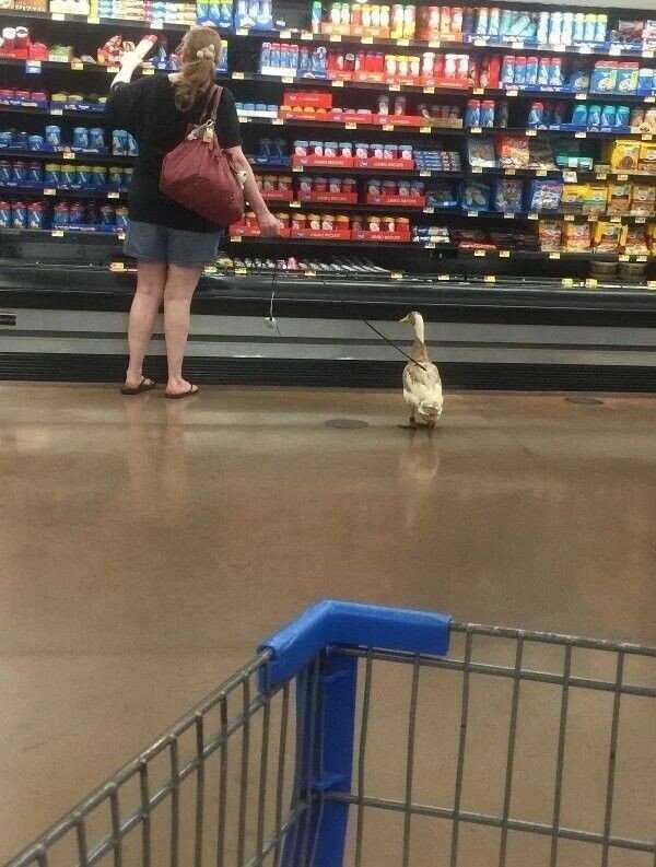 Notable Photos from a Recent Trip Around America