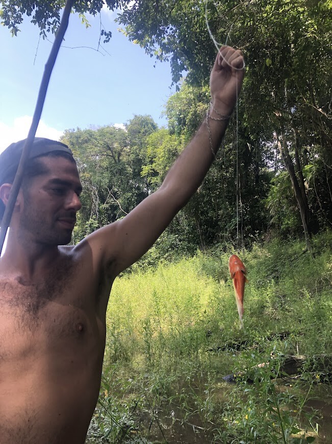 Photos Showing Carnival Isn't Brazil's Only Parade