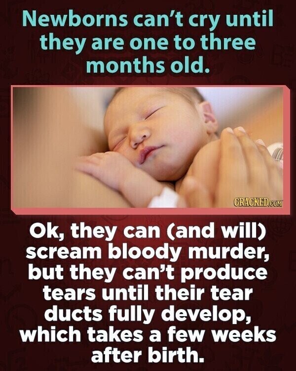 Newborns can't cry until they are one to three months old. CRACKED.COM Ok, they can (and will) scream bloody murder, but they can't produce tears until their tear ducts fully develop, which takes a few weeks after birth.
