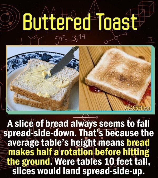 HO Buttered Toast M 3,14 3 2 GRACKED.COM A slice of bread always seems to fall spread-side-down. That's because the average table's height means bread makes half a rotation before hitting the Were tables 10 feet tall, ground. 9-04 slices would land spread-side-up.