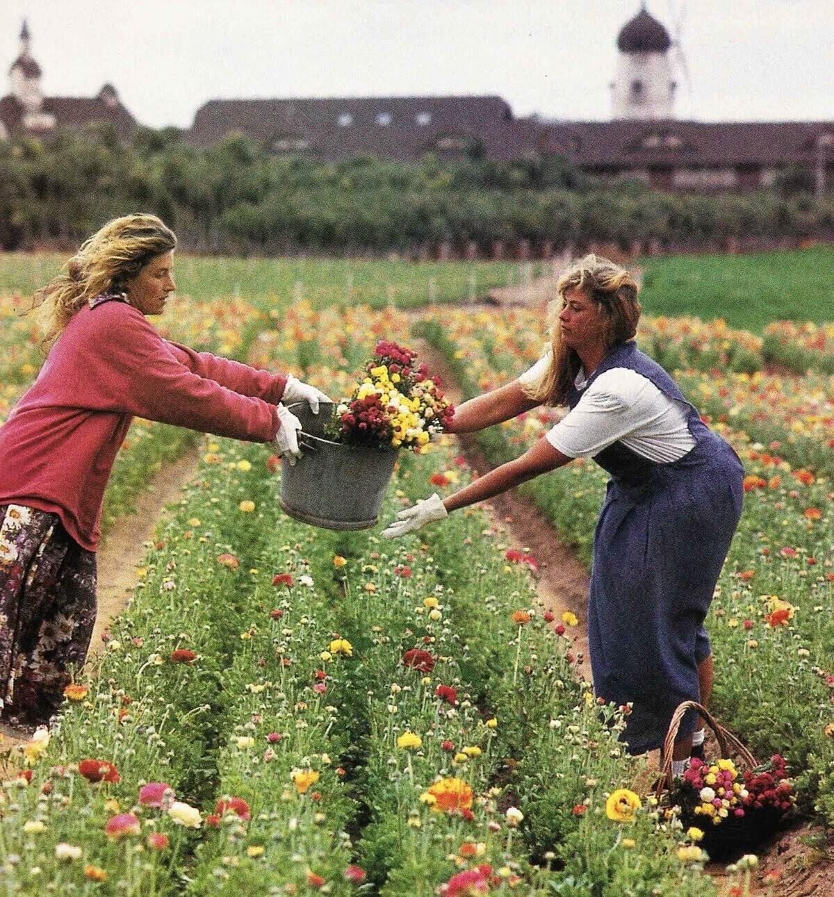 What the Fall Season Looked Like in the 1970s