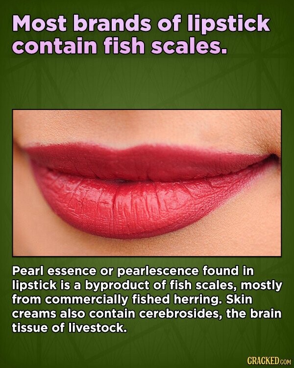 Most brands of lipstick contain fish scales. Pearl essence or pearlescence found in lipstick is a byproduct of fish scales, mostly from commercially fished herring. Skin creams also contain cerebrosides, the brain tissue of livestock. CRACKED.COM