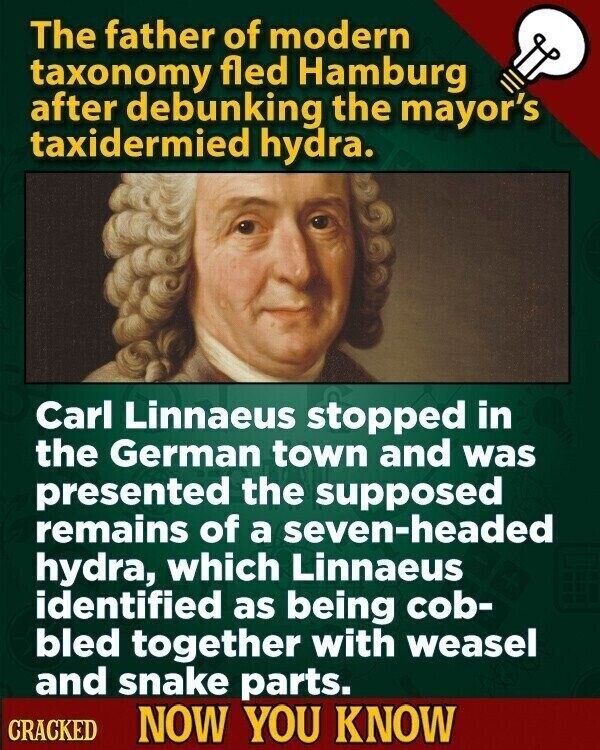The father of modern taxonomy fled Hamburg after debunking the mayor's taxidermied hydra. Carl Linnaeus stopped in the German town and was presented the supposed remains of a seven-headed hydra, which Linnaeus identified as being cob- bled together with weasel and snake parts. CRACKED NOW YOU KNOW