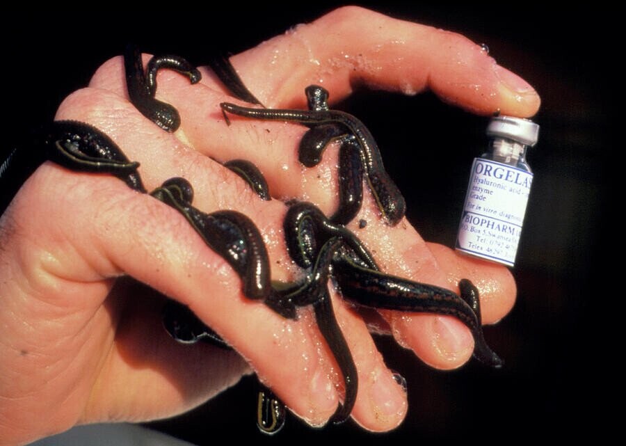 Eyebrow-Arching Facts About Ancient Medicine