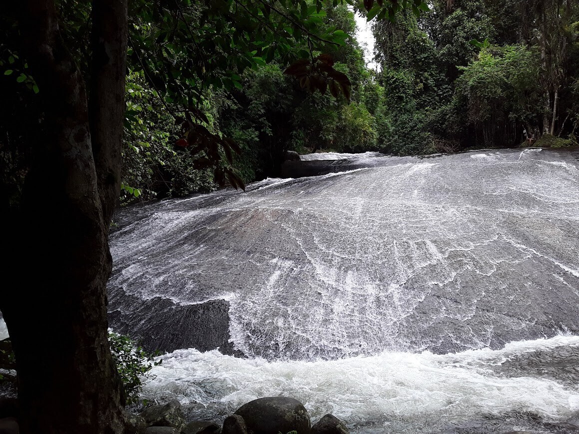 Photos Showing Carnival Isn't Brazil's Only Parade