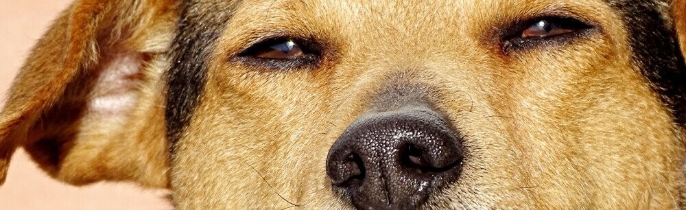 Weird World: 12 Things That Happened Against All Conceivable Odds