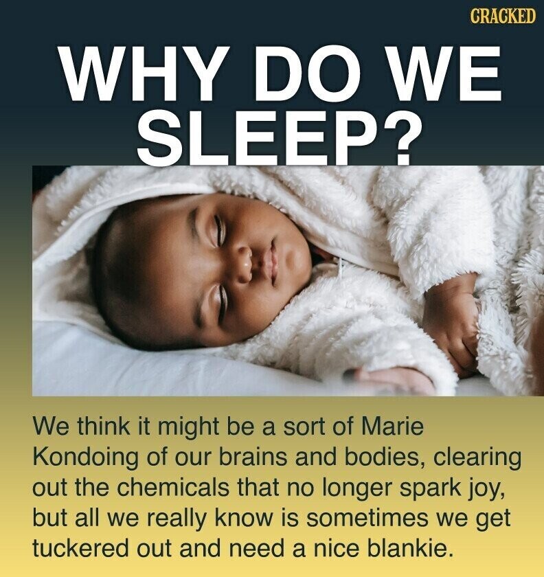 CRACKED WHY DO WE SLEEP? We think it might be a sort of Marie Kondoing of our brains and bodies, clearing out the chemicals that no longer spark joy, but all we really know is sometimes we get tuckered out and need a nice blankie.