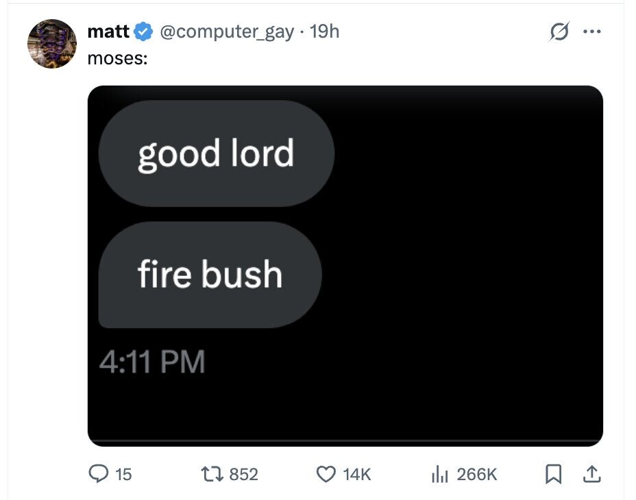 matt @computer_gay.19h ... moses: good lord fire bush 4:11 PM 15 852 14K del 266K