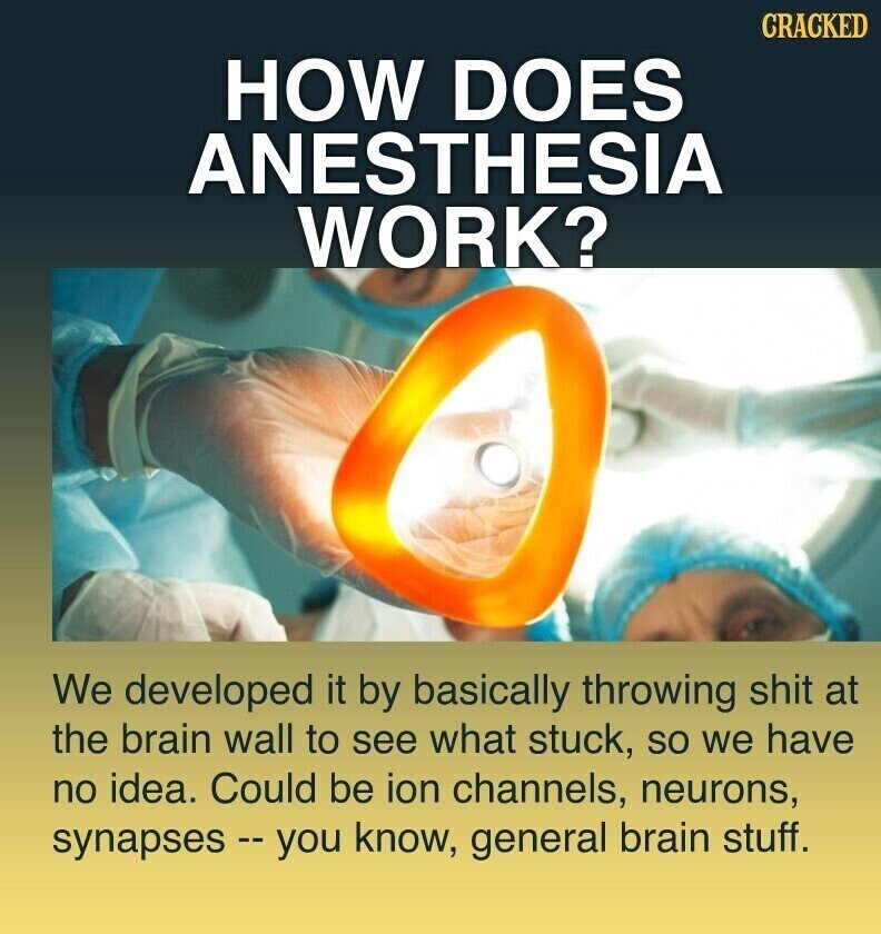 CRACKED HOW DOES ANESTHESIA WORK? We developed it by basically throwing shit at the brain wall to see what stuck, so we have no idea. Could be ion channels, neurons, synapses - you know, general brain stuff.