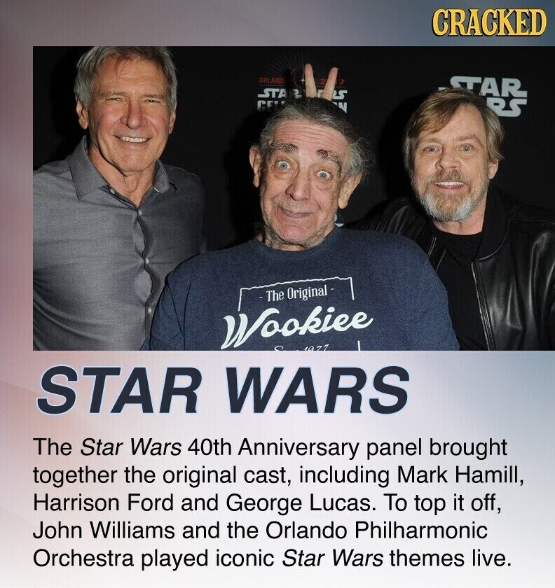 CRACKED ORLAND STAR STA في LS CE 2 RS The Original Wookiee 1977 STAR WARS The Star Wars 40th Anniversary panel brought together the original cast, including Mark Hamill, Harrison Ford and George Lucas. To top it off, John Williams and the Orlando Philharmonic Orchestra played iconic Star Wars themes live.