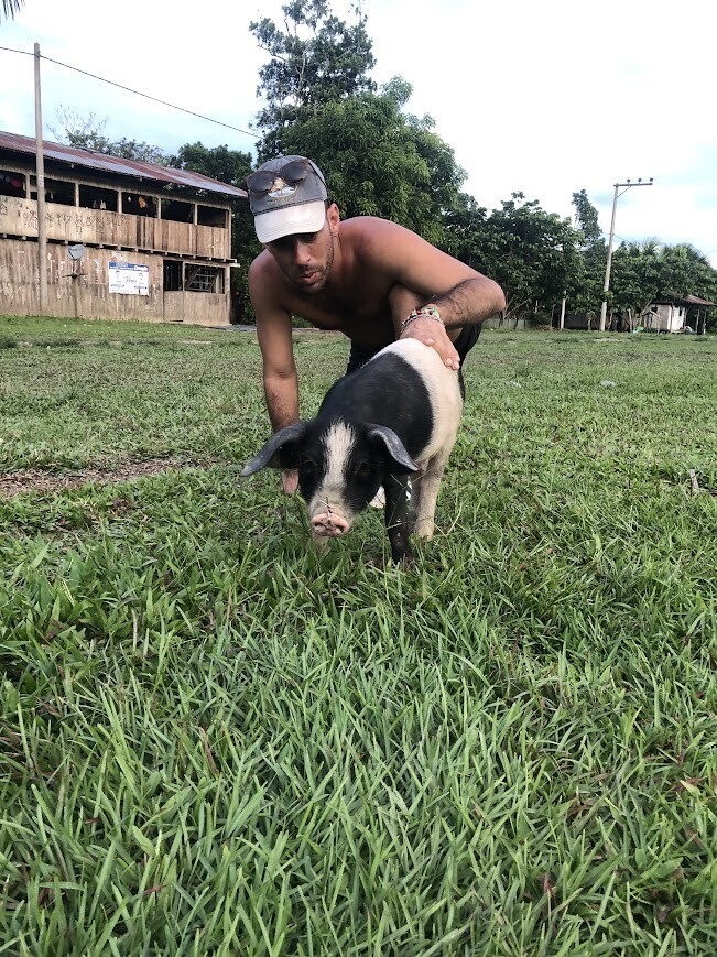 Photos Showing Carnival Isn't Brazil's Only Parade
