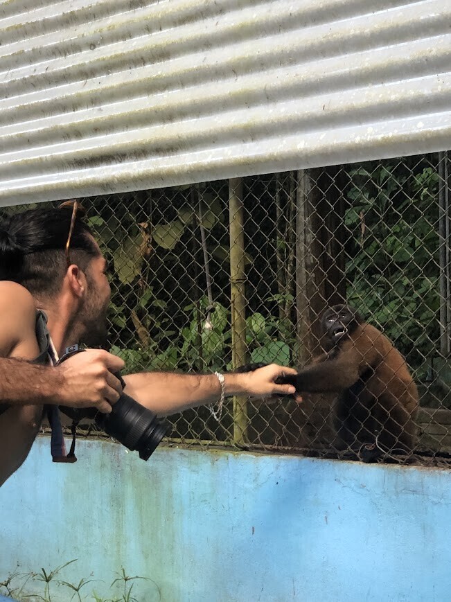 Photos Showing Carnival Isn't Brazil's Only Parade