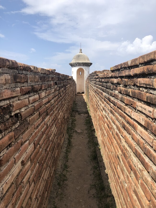 Photos Showing Carnival Isn't Brazil's Only Parade