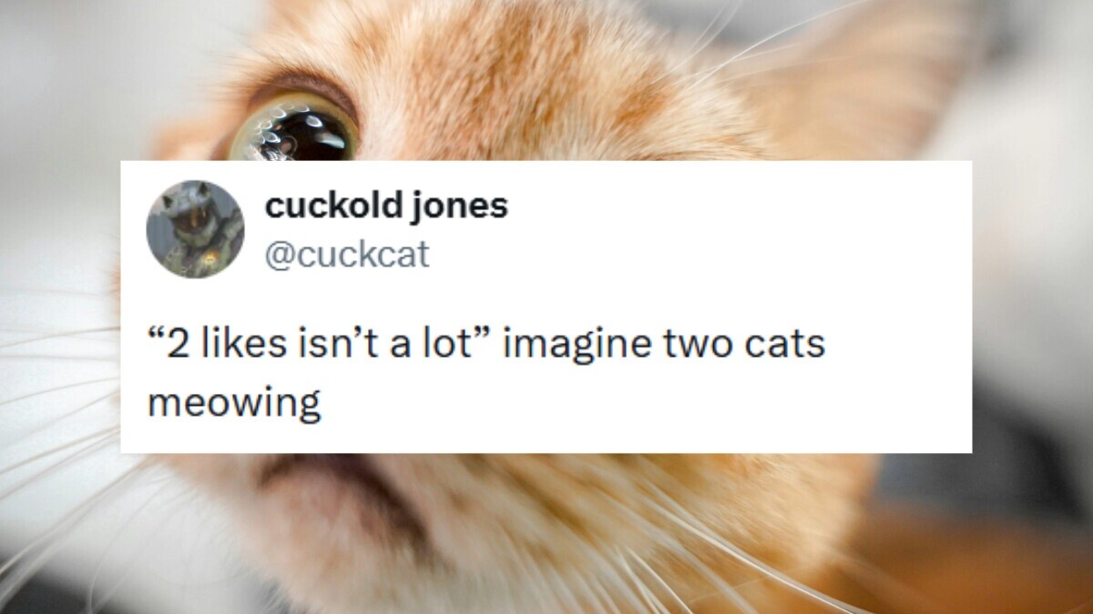 19 of the Funniest Tweets from Tuesday , September 1 2026