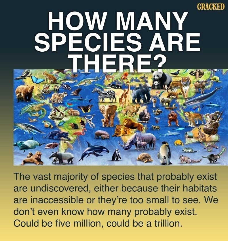 CRACKED HOW MANY SPECIES ARE THERE? The vast majority of species that probably exist are undiscovered, either because their habitats are inaccessible or they're too small to see. We don't even know how many probably exist. Could be five million, could be a trillion.