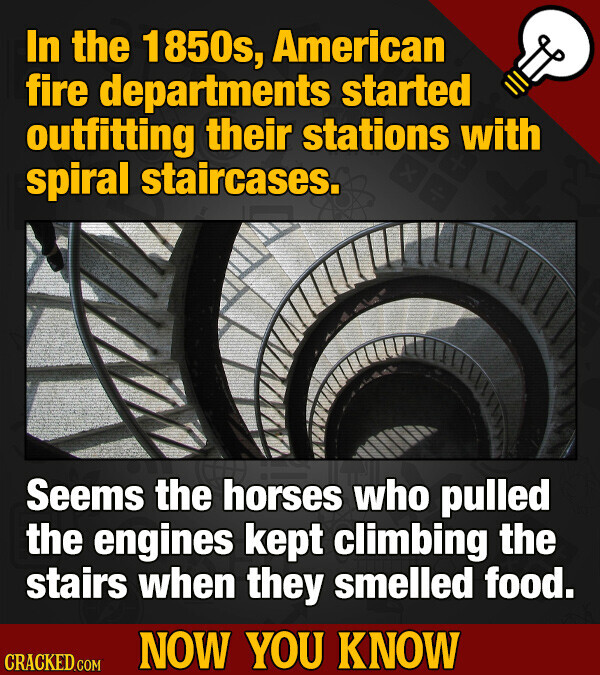 In the 1850s, American fire departments started outfitting their stations with spiral staircases. Seems the horses who pulled the engines kept climbing the stairs when they smelled food. NOW YOU KNOW CRACKED.COM