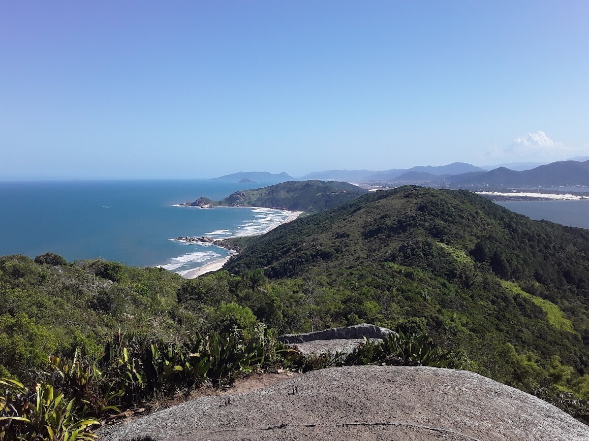 Photos Showing Carnival Isn't Brazil's Only Parade