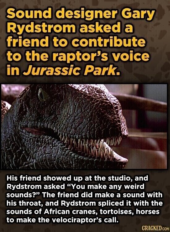 Sound designer Gary Rydstrom asked a friend to contribute to the raptor's voice in Jurassic Park. His friend showed up at the studio, and Rydstrom asked You make any weird sounds? The friend did make a sound with his throat, and Rydstrom spliced it with the sounds of African cranes, tortoises, horses to make the velociraptor's call. CRACKED.COM
