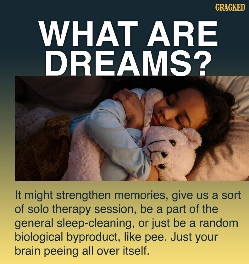 CRACKED WHAT ARE DREAMS? It might strengthen memories, give us a sort of solo therapy session, be a part of the general sleep-cleaning, or just be a random biological byproduct, like pee. Just your brain peeing all over itself.
