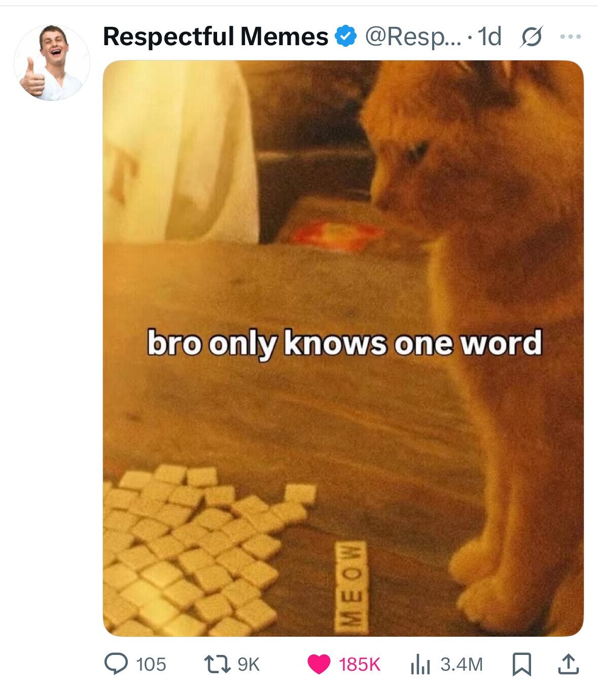Respectful Memes @Resp... 1d s ... bro only knows one word MEOW 105 9K 185K 3.4M 