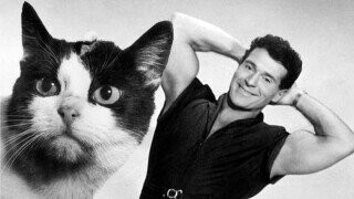 32 Quirky Historical Tidbits That Can Only Be Made When A Mommy History Book Loves A Daddy Joke Book