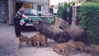 Uncommon Shots From Everyday Life That Look Normal