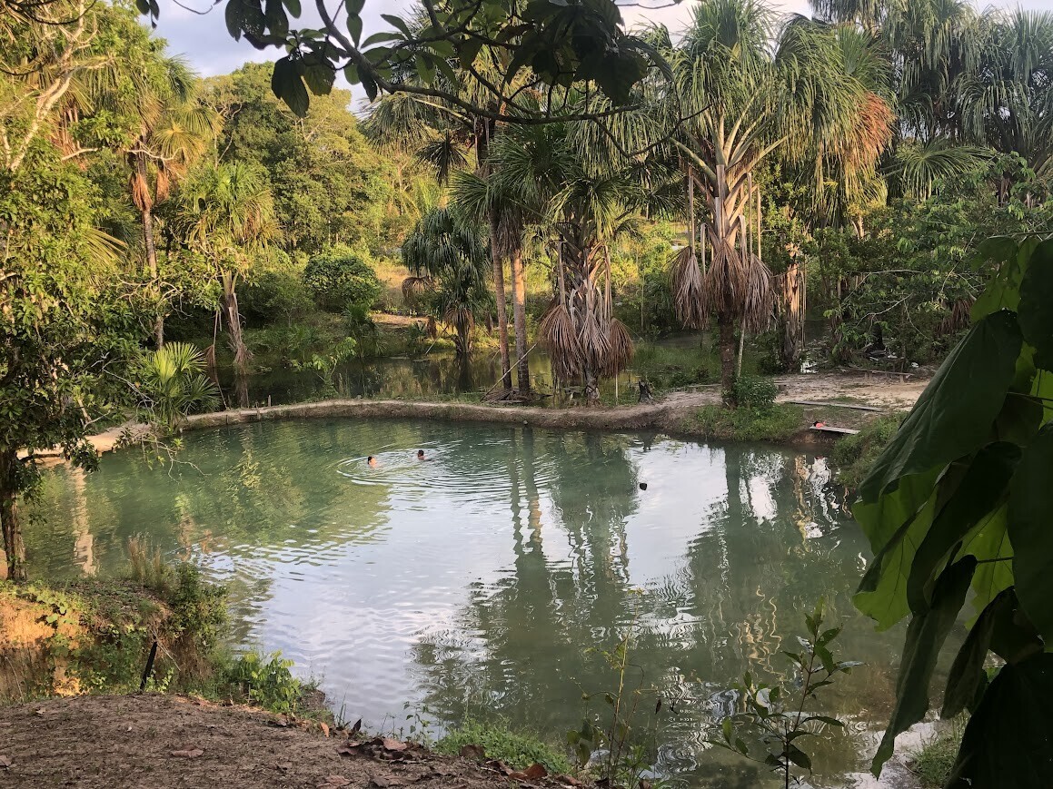 Photos Showing Carnival Isn't Brazil's Only Parade