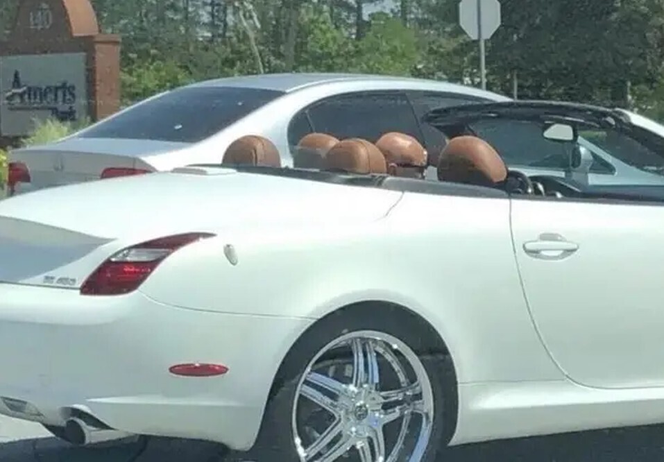 Tricky Pics That Aren't as They Appear at First Glance