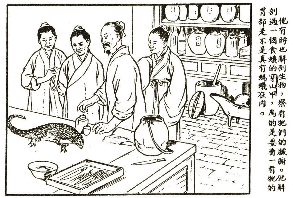 Eyebrow-Arching Facts About Ancient Medicine