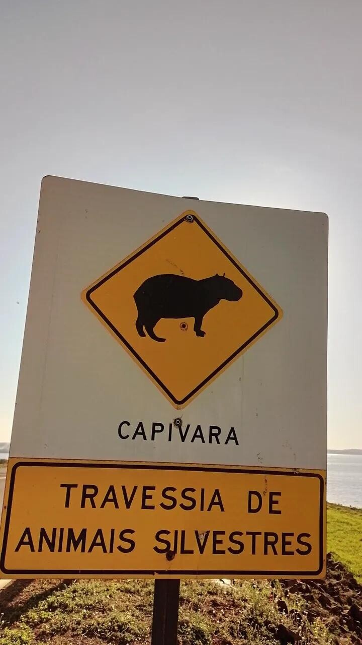 Photos Showing Carnival Isn't Brazil's Only Parade