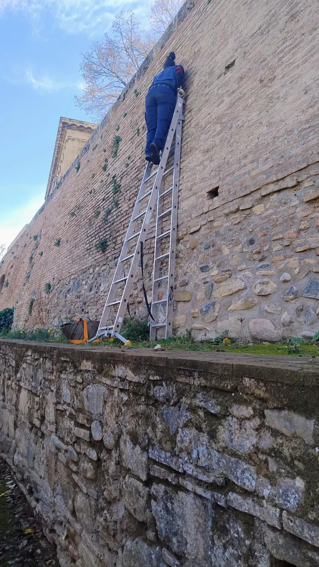 People Who Thought Things Were Fine, But They Weren't