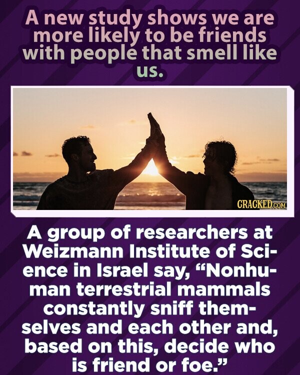 A new study shows we are more likely to be friends with people that smell like us. CRACKED.COM A group of researchers at Weizmann Institute of Sci- ence in Israel say, Nonhu- man terrestrial mammals constantly sniff them- selves and each other and, based on this, decide who is friend or foe.