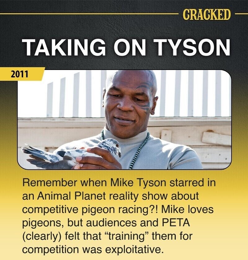 CRACKED TAKING ON TYSON 2011 Remember when Mike Tyson starred in an Animal Planet reality show about competitive pigeon racing?! Mike loves pigeons, but audiences and PETA (clearly) felt that training them for competition was exploitative.