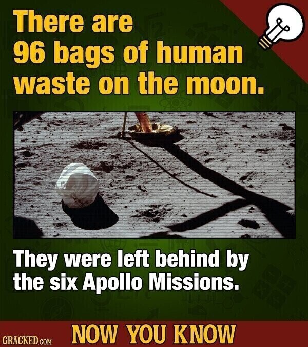 There are 96 bags of human waste on the moon. They were left behind by the six Apollo Missions. NOW YOU KNOW CRACKED.COM