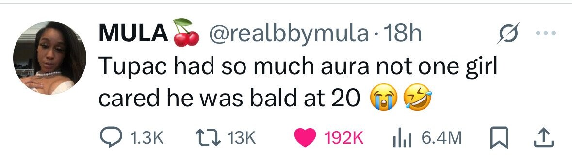 MULA @realbbymula 18h Tupac had so much aura not one girl cared he was bald at 20 1.3K 13K 192K 6.4M 