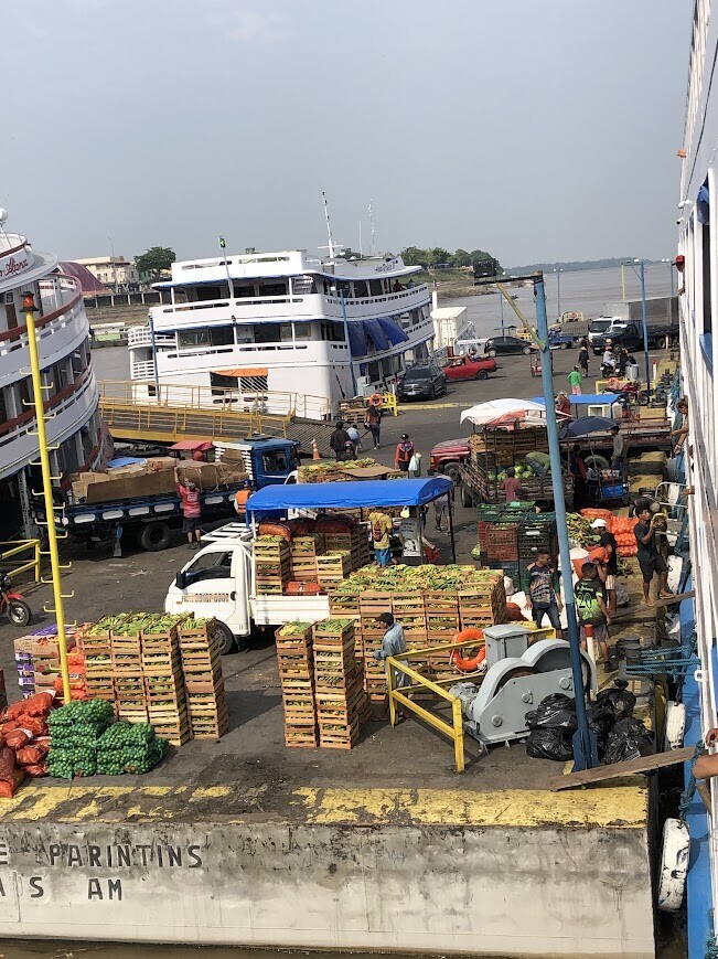 Photos Showing Carnival Isn't Brazil's Only Parade