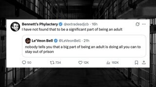 55 of the Funniest Burns from the Week of December 8, 2025