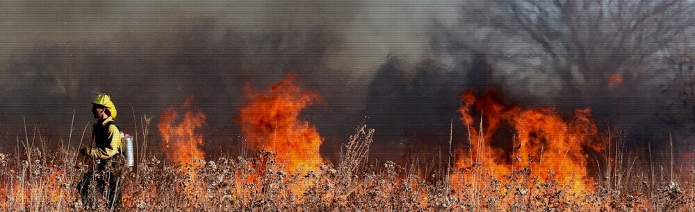 What's The Deal: Wildfires In The Western United States