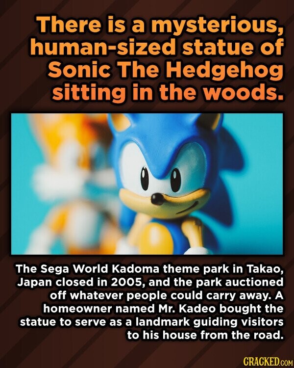 There is a mysterious, human-sized statue of Sonic The Hedgehog sitting in the woods. The Sega World Kadoma theme park in Takao, Japan closed in 2005, and the park auctioned off whatever people could carry away. A homeowner named Mr. Kadeo bought the statue to serve as a landmark guiding visitors to his house from the road. CRACKED.COM